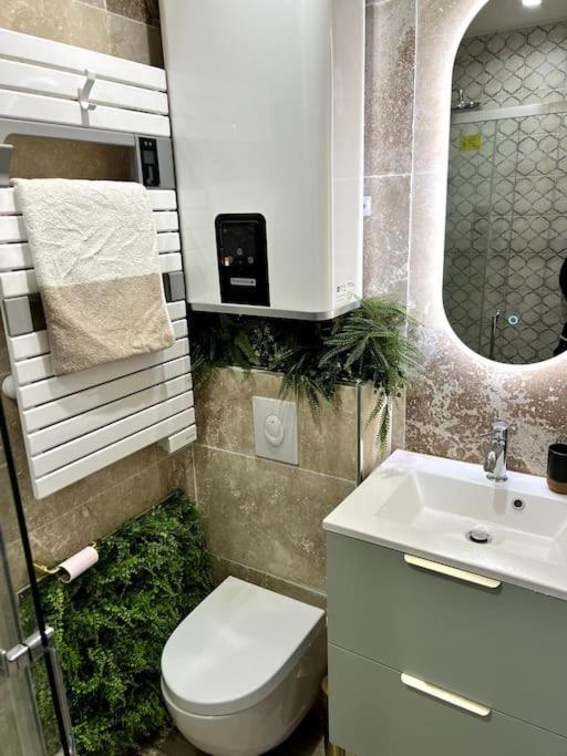 Studio 2 Neuf A 100M Des Plages Et De La Gare Saint-Raphaël Eksteriør billede