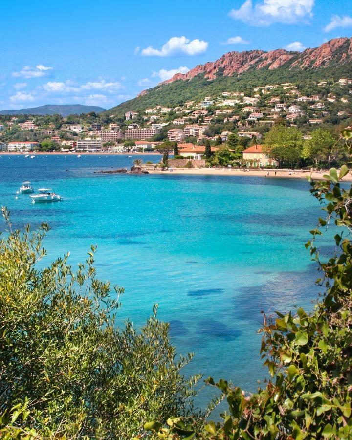 Studio 2 Neuf A 100M Des Plages Et De La Gare Saint-Raphaël Eksteriør billede